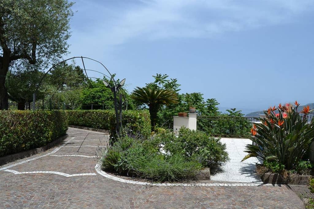 Casa Joyce Apartment Sorrento Exterior photo